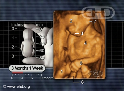 turning-and-relaxing (1)