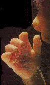 17_weeks