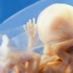 14-week-old baby,