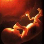 15 weeks – legal to abort in every US state and all throughout Canada