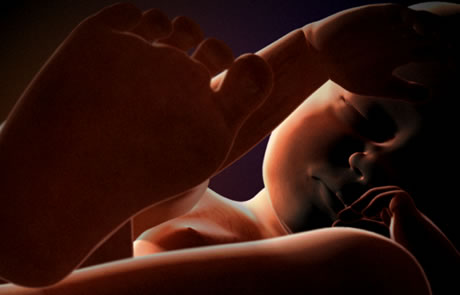 7 months. Legal to abort in some states.