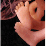 Legs of preborn baby at 11 weeks