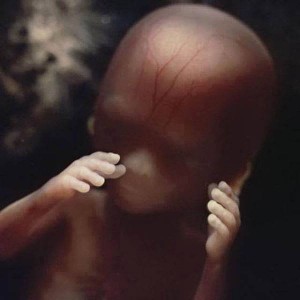 16 weeks 88