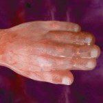 12weeks-image-3-150x150